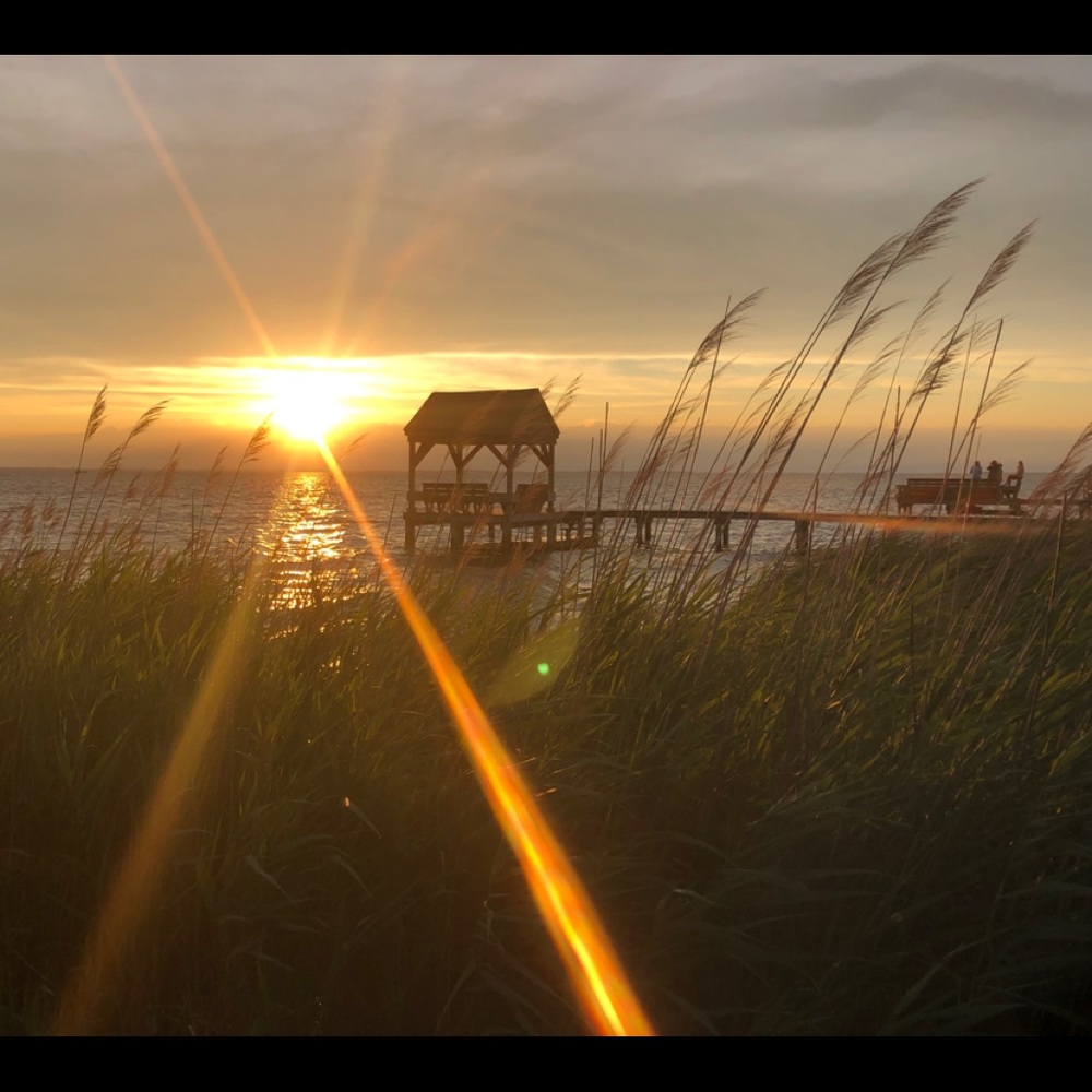 Meet your Posher, Raegan